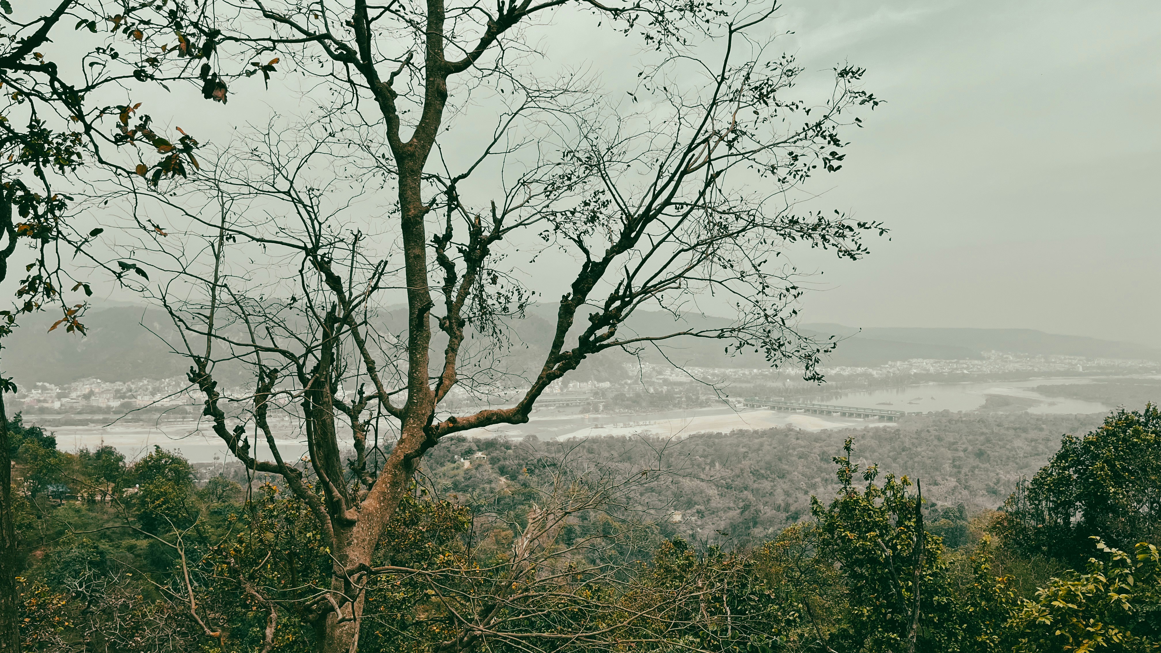 Rajaji National Park near Haridwar